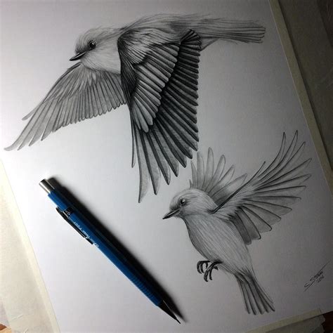 List 96+ Pictures Pictures Of Birds Flying To Draw Superb