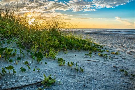 Myrtle Beach State Park: Top 6 Things to Do - iTrip®