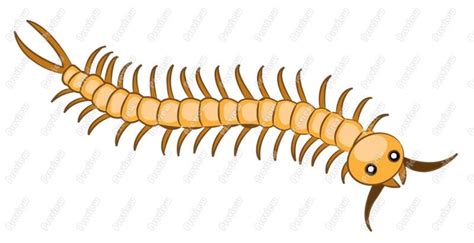 Centipede Clip Art 667 Formats Included With This | Art, Clip art, Artist