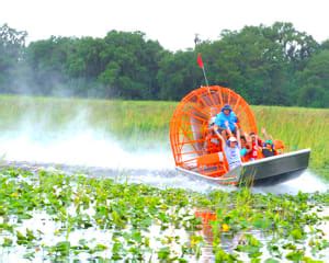 Orlando Airboat Swamp Tour - 1 Hour - Adrenaline