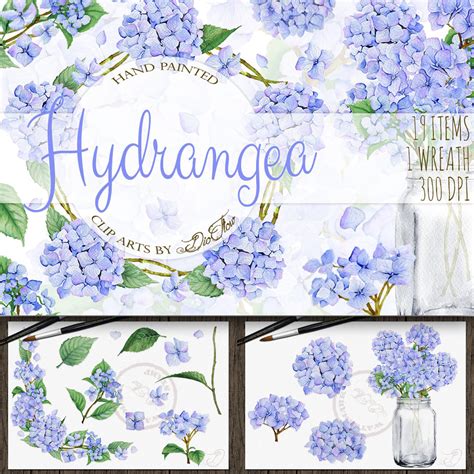 Hydrangea Watercolor Clip Art – MasterBundles