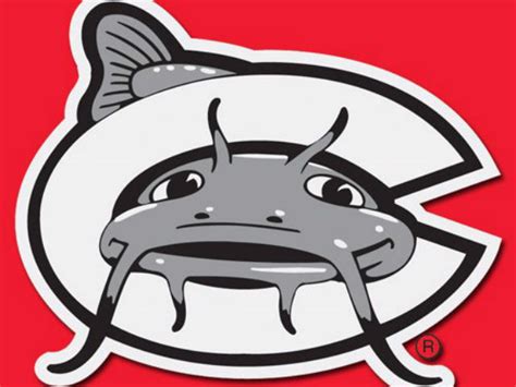 Brewers' new Class-A affiliate, Carolina Mudcats, a better fit for ...