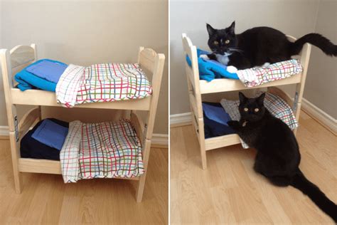 Turn IKEA doll beds into an adorable cat bunk bed - IKEA Hackers