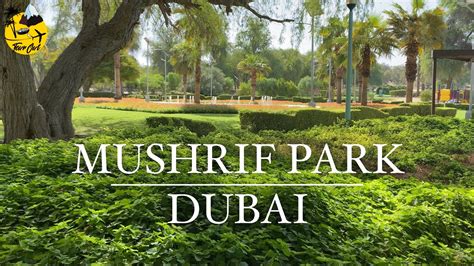 Best Park in Dubai | Mushrif Park Dubai - YouTube