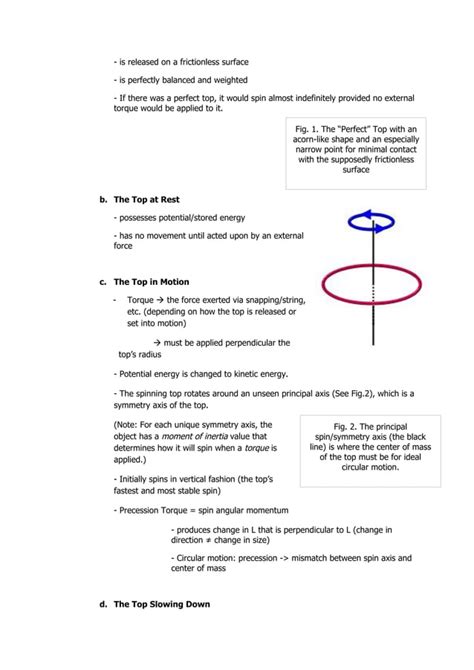 Physics Write Up: The Spin Top | PDF