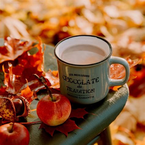 Pin by Maja Nikolic on AUTUMN/FALL | Coffee quotes, Autumn cozy, Fall decor