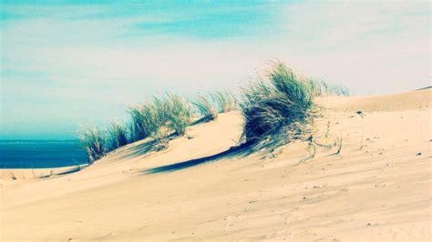 Beach Dunes Wallpaper