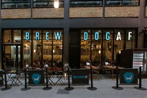 BrewDog to open its first alcohol-free bar • Beer Today