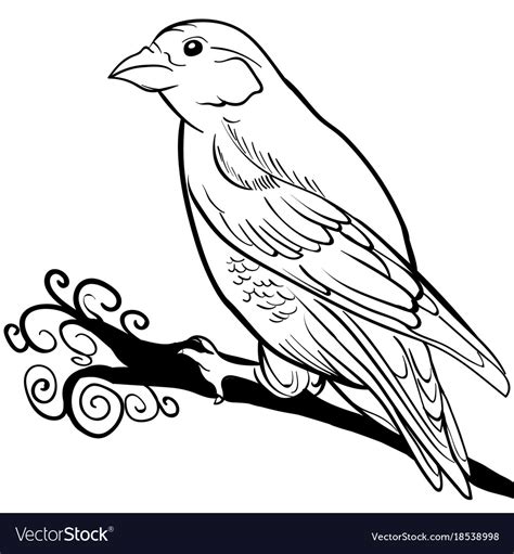 Hand drawn sparrow bird animal sketch Royalty Free Vector