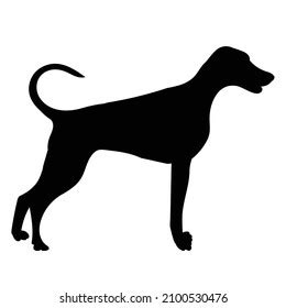 Dog Black Silhouette Isolated Vector Stock Vector (Royalty Free ...