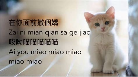 MEOW MEOW SONG WITH LYRICS - YouTube