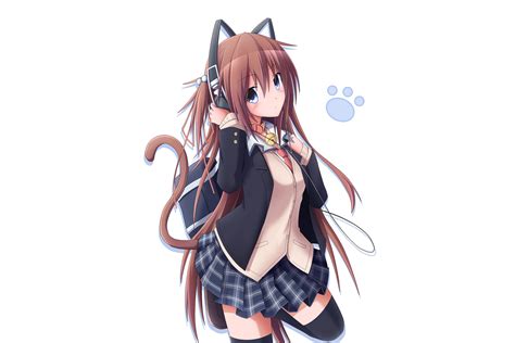 🔥 [40+] Cute Neko Anime Wallpapers | WallpaperSafari