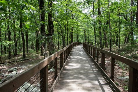 Hiking Trails in Cheaha State Park: A Comprehensive Guide - Mountain ...