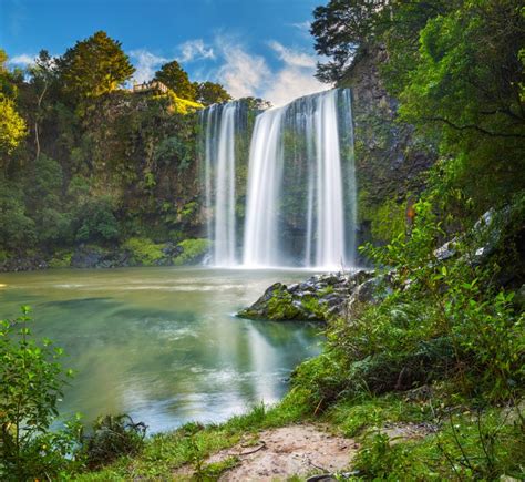 the-whangarei-falls-northland-new-zealand - Unique Holiday Tours