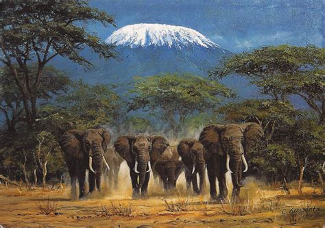 A Journey of Postcards: Elephants at Mount Kilimanjaro