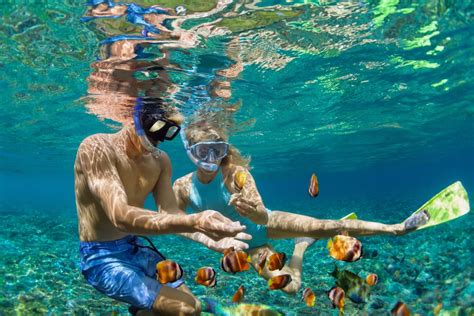 Best Spots for Snorkeling in Cancun | Blog Cancun Snorkeling