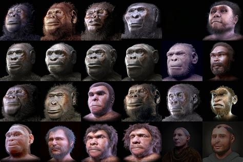 A new human ancestor : Nesher Ramla Homo – Track2Training