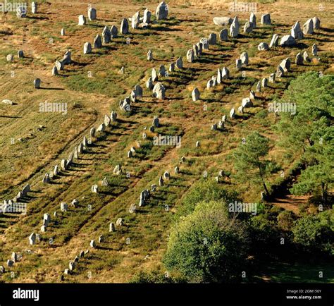 FRANCE. BRITTANY. MORBIHAN(56) CARNAC.MEGALITHIC SITE OF CARNAC ...