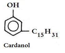 CASHEW::CNSL::ANACARDIC ACID::CARDANOL::RESIDOL