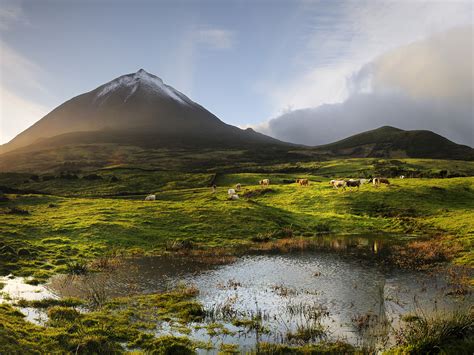 The volcano, 2351 meters high, at the Pico island. His last eruption ...