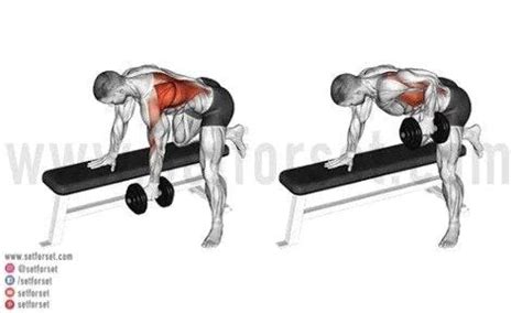 8 Best Lat Exercises With Dumbbells To Build Your Back - SET FOR SET