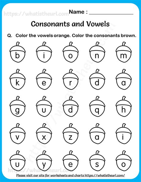 Worksheets on Consonants and Vowels for Grade 1 - Your Home Teacher ...