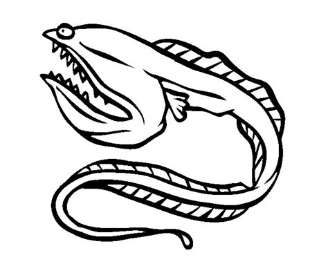 Eel Coloring Pages - Learny Kids