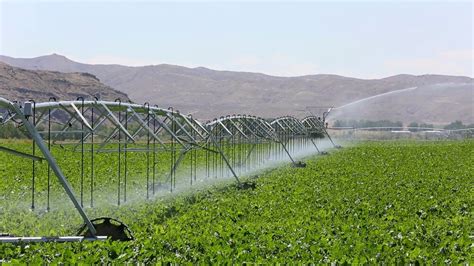 Modern irrigation systems established in 25,000 ha of farmlands ...