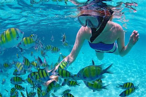 Snorkeling in Cancun | Where to do snorkel | Cancun Snorkeling