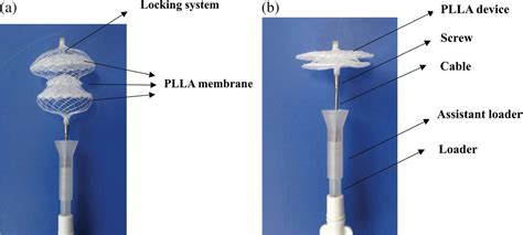 Initial experiences with a novel biodegradable device for percutaneous ...