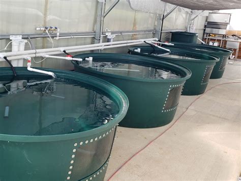 Flourish Farm Aquaponic Systems | The Aquaponic Source