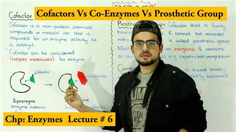 Enzymes Cofactors | Coenzyme vs prosthetic group | Apoenzyme Vs ...