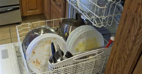 Here's Why You Should Not Rinse Your Dishes Before Putting Them In The ...