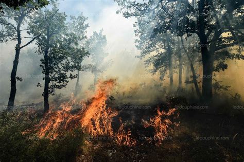 France/Monde | Incendies dans le sud: 7000 hectares brûlés, 12000 ...