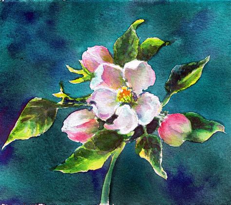 Apple Blossom Painting at PaintingValley.com | Explore collection of ...