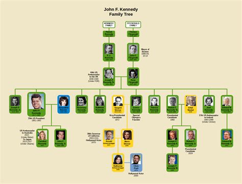 John F. Kennedy Family Tree : r/UsefulCharts