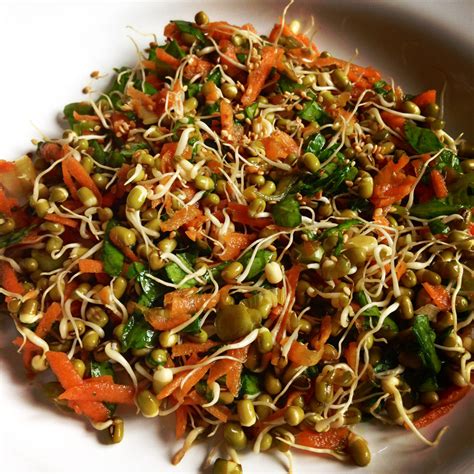 Mung Bean Sprouts Fact, Health Benefits & Nutritional Value