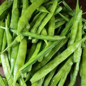 Guar Gum (guaran) | Molecular Recipes