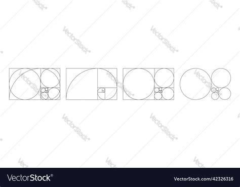 Golden ratio spiral of fibonacci Royalty Free Vector Image