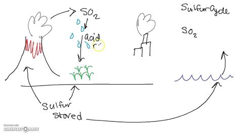 [DIAGRAM] Diagram Of The Sulfur Cycle - MYDIAGRAM.ONLINE