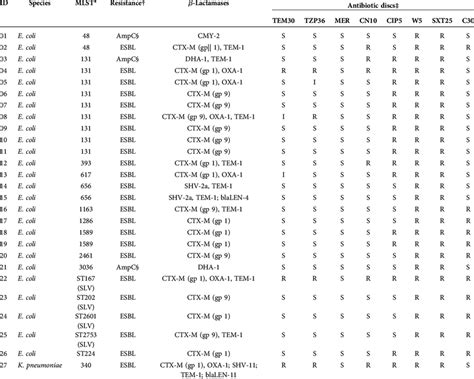 Antibiotic susceptibility | Download Table