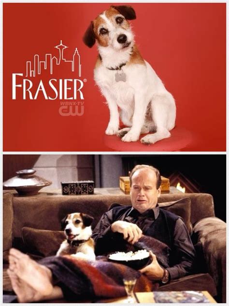 52 best images about Eddie From Frasier aka "Moose & Enzo" on Pinterest ...