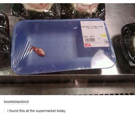 It says "very small fish" on it - Meme by tofsen12345 :) Memedroid