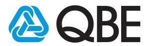 QBE Insurance Logo - Realm Projects