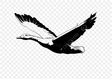 Flying Goose Clipart Black And White