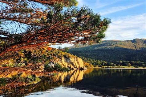 Top 10 Things to do in Killarney National Park, Ireland