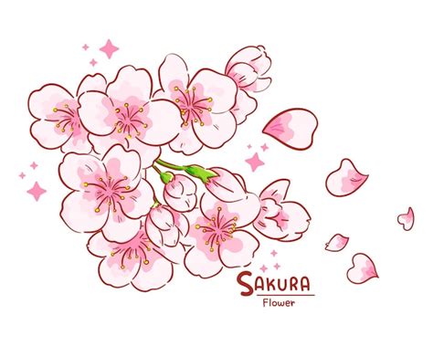 Free Vector | Branch of sakura flowers hand drawn cartoon art illustration