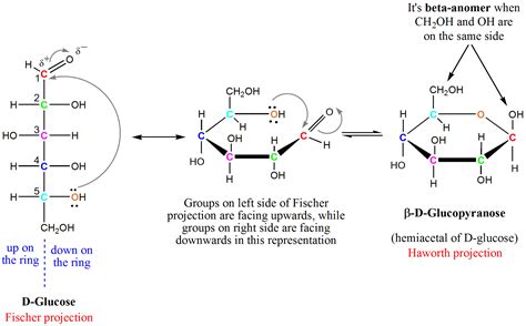 Glucose Ring Structure Formation