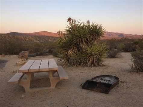 Joshua Tree Camping: The Full Guide to Camping the Boulder Playground