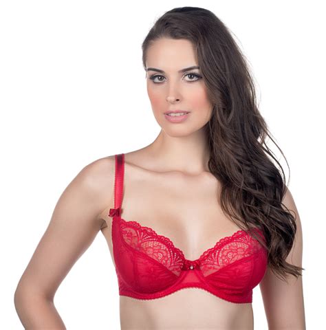 Alegro Innocent Lily Sheer Lace Unlined Plunge Bra 9005A